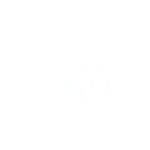 MTV